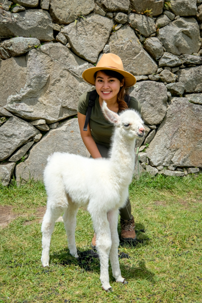 Machu Picchu Travel Guide: 10 Best Things to See and Do